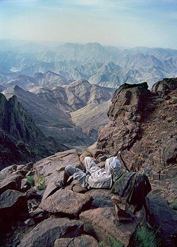 sinai tours