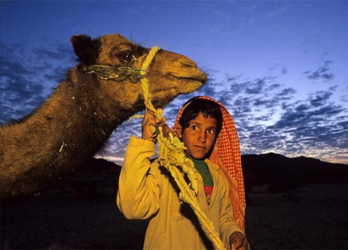 camel and jeep tours to the Sinai deseret from Eilat