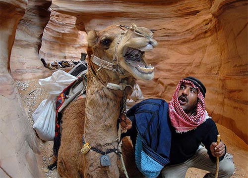 Petra & Wadi Rum gallery